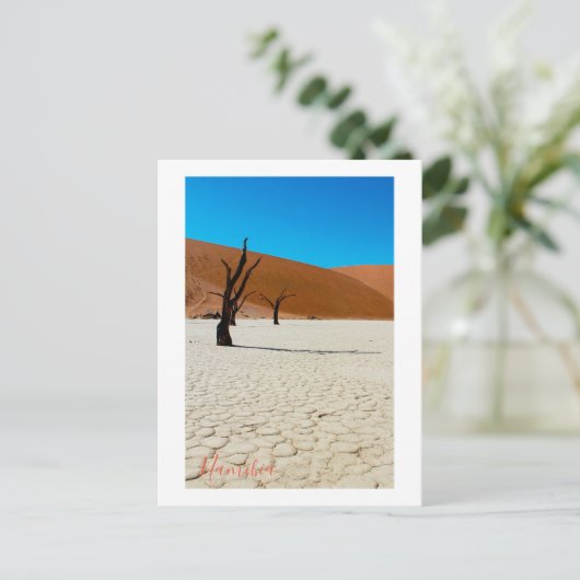 Landschap Sossusvlei Briefkaart (Staand voorkant)