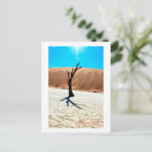 Landschap Sossusvlei Briefkaart (Staand voorkant)