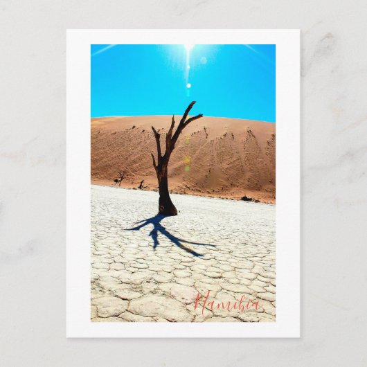 Landschap Sossusvlei Briefkaart (Voorkant)