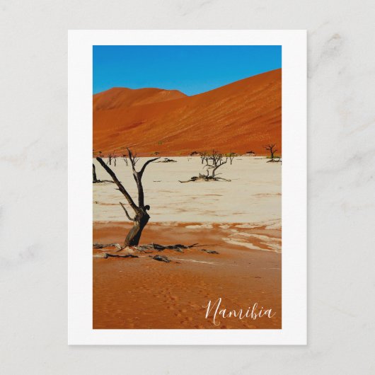 Landschap Sossusvlei Briefkaart (Voorkant)