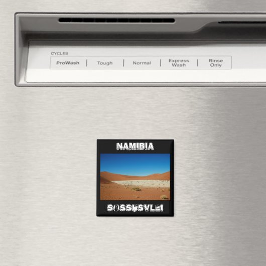 Landschap Sossusvlei Magneet (Insitu (Vaatwasser))