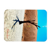 Landschap Sossusvlei Magneet (Horizontaal)