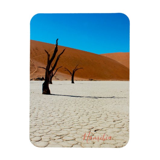 Landschap Sossusvlei Magneet (Verticaal)