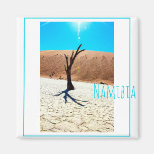 Landschap Sossusvlei Magneet