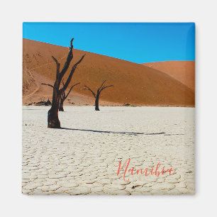 Landschap Sossusvlei Magneet