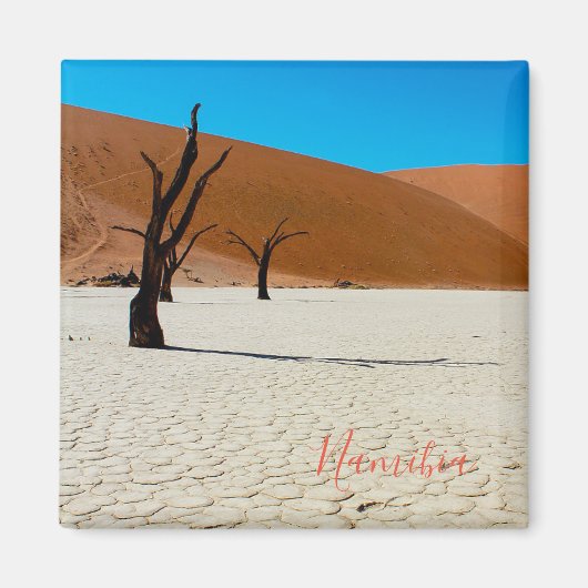 Landschap Sossusvlei Magneet (Voorkant)