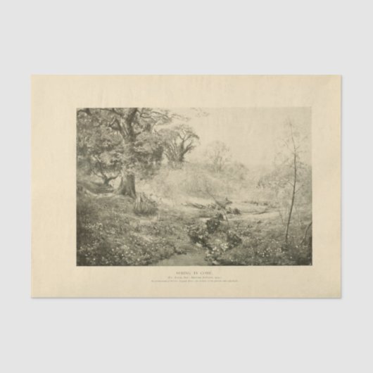 Landschap Spring Trees Ephemera Decoupage Tissuepapier (Voorkant)