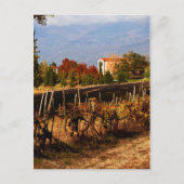 Landschap Toscane Autumn Briefkaart (Voorkant)