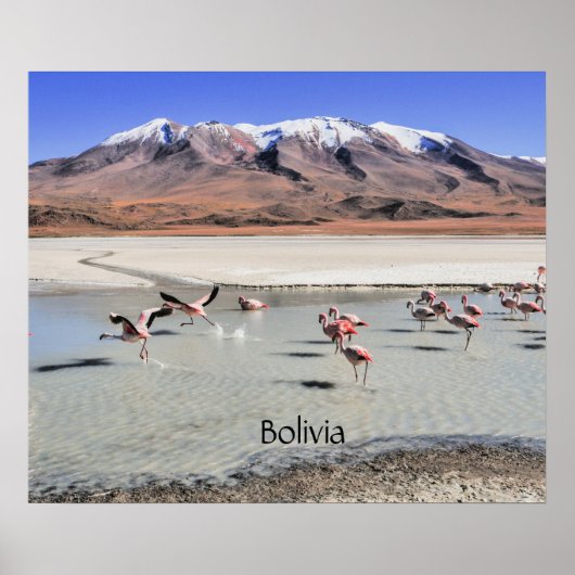 Landschap van Bolivia Poster (Voorkant)