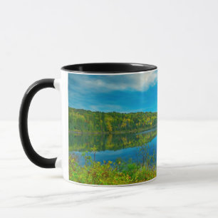 Landschap van Costello Lake Mok