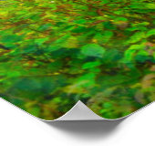 Landschap van Costello Lake Poster (Hoek)