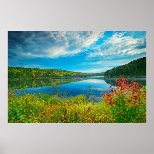 Landschap van Costello Lake Poster (Voorkant)