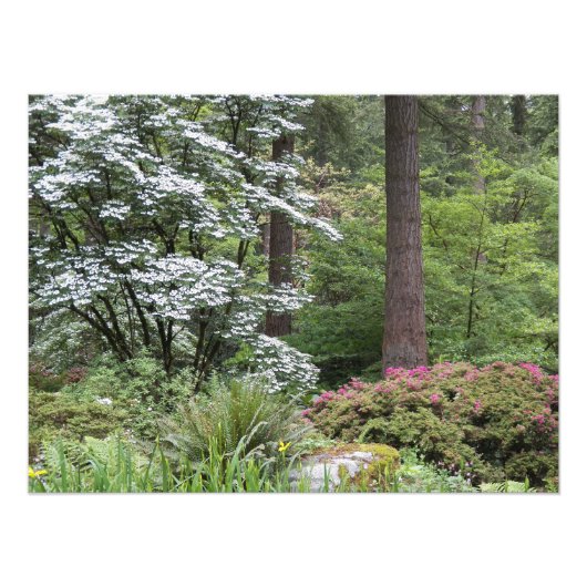 Landschap van de bostuin foto afdruk (Voorkant)