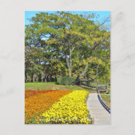Landschap van de Chinaberry- en de marigold flower Briefkaart