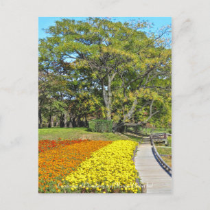 Landschap van de Chinaberry- en de marigold flower Briefkaart