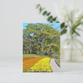 Landschap van de Chinaberry- en de marigold flower Briefkaart (Staand voorkant)
