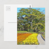 Landschap van de Chinaberry- en de marigold flower Briefkaart (Voorkant / Achterkant)