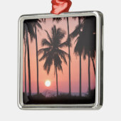 Landschap van de kokospalm metalen ornament (Links)