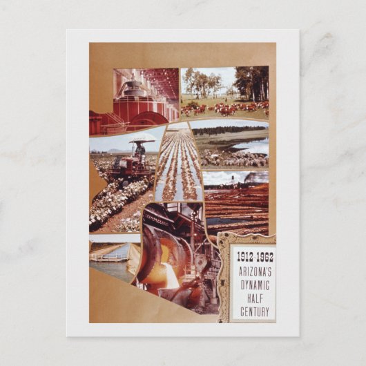 Landschap van de landbouwwoestijn van Arizona midd Feestdagenkaart (Voorkant)