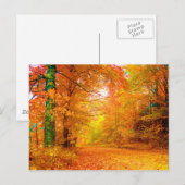 Landschap van de Natuur van de Herfst van Vermont Briefkaart (Voorkant / Achterkant)