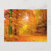 Landschap van de Natuur van de Herfst van Vermont Briefkaart (Voorkant)
