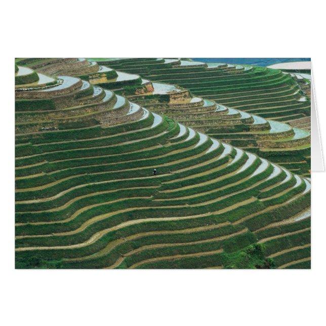 Landschap van de rijstterrassen in de berg, 3 (Voorkant Horizontaal)