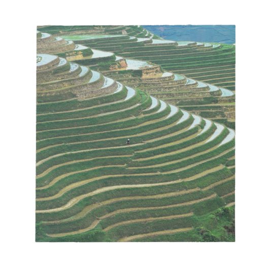 Landschap van de rijstterrassen in de bergen, 3 notitieblok (Voorkant)