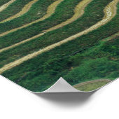 Landschap van de rijstterrassen in de bergen, 3 poster (Hoek)