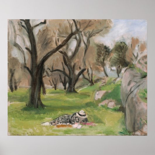 Landschap van de Zuid-Matisse Poster (Voorkant)