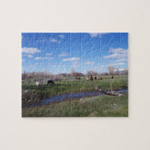Landschap van dieren
