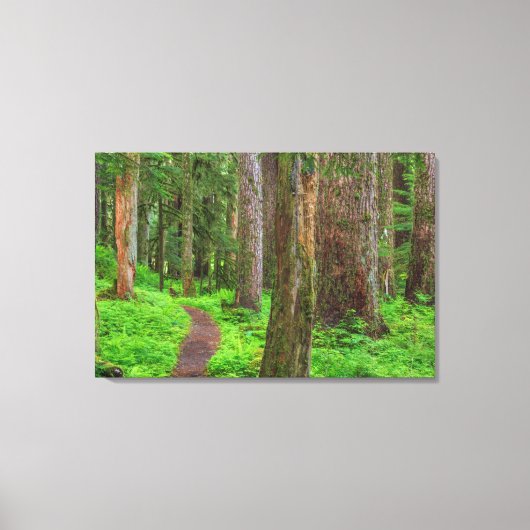 Landschap van oerbos canvas afdruk (Voorkant)