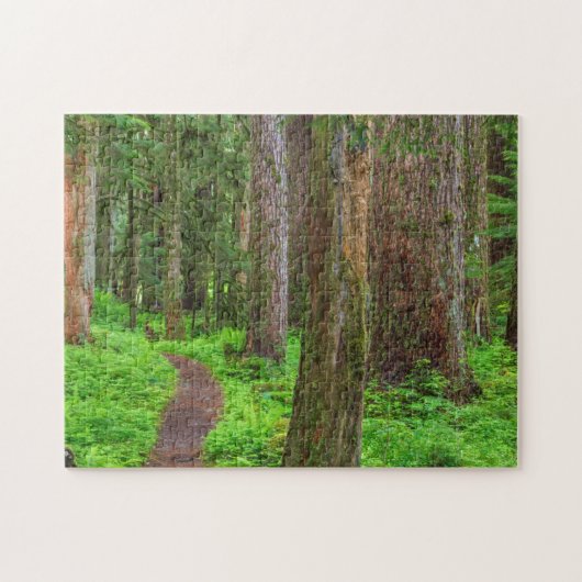 Landschap van oerbos legpuzzel (Horizontaal)