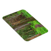 Landschap van oerbos magneet (Rechterzijde)