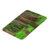 Landschap van oerbos magneet (Linkerzijde)