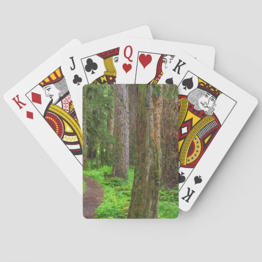 Landschap van oerbos pokerkaarten (Achterkant)