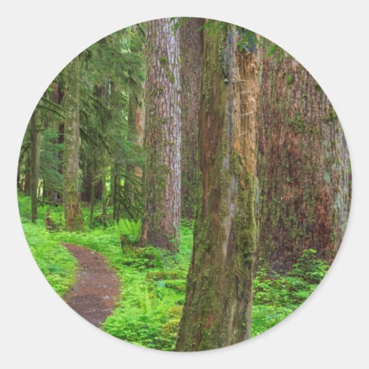 Landschap van oerbos ronde sticker (Voorkant)