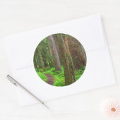Landschap van oerbos ronde sticker (Envelop)