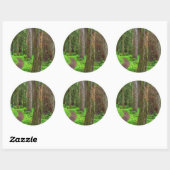 Landschap van oerbos ronde sticker (Vel)
