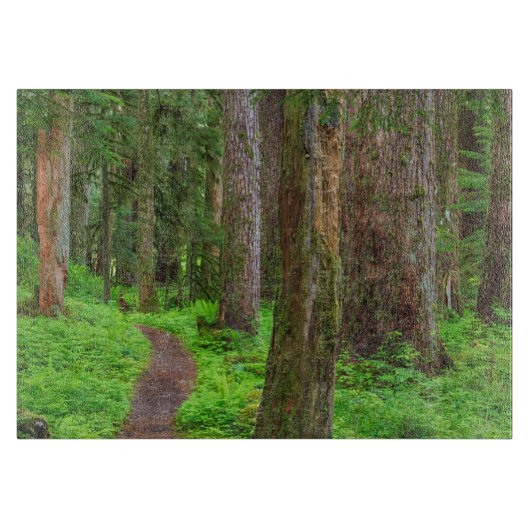 Landschap van oerbos snijplank (Voorkant)
