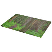 Landschap van oerbos snijplank (Hoek)