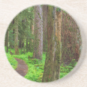 Landschap van oerbos zandsteen onderzetter