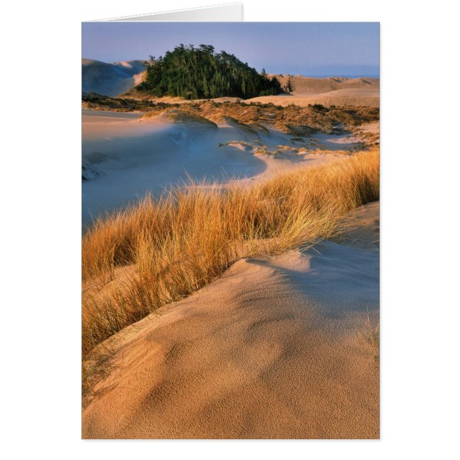 Landschap van Oregon zandduinen (Voorkant)