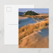 Landschap van Oregon-zandduinen Briefkaart (Voorkant / Achterkant)
