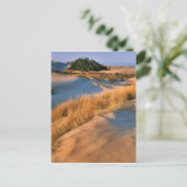 Landschap van Oregon-zandduinen Briefkaart (Staand voorkant)