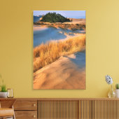 Landschap van Oregon zandduinen Canvas Afdruk (Insitu (Woonkamer))