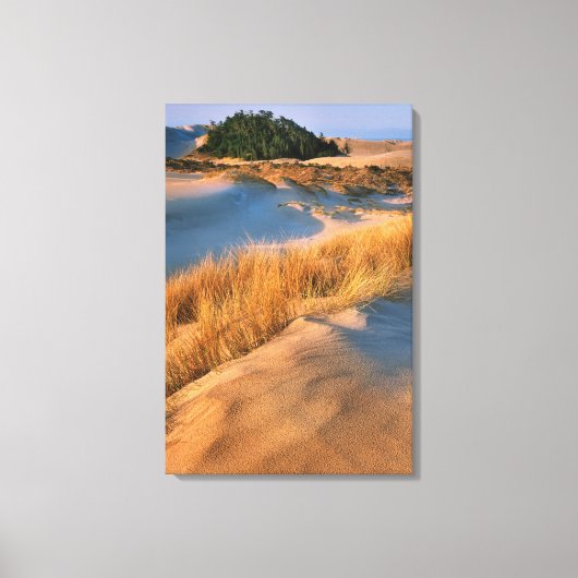 Landschap van Oregon zandduinen Canvas Afdruk (Voorkant)
