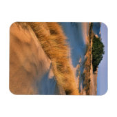 Landschap van Oregon zandduinen Magneet (Horizontaal)