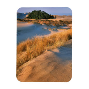 Landschap van Oregon zandduinen Magneet