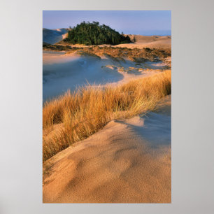 Landschap van Oregon-zandduinen Poster