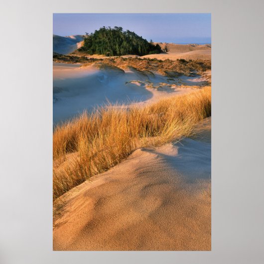 Landschap van Oregon-zandduinen Poster (Voorkant)